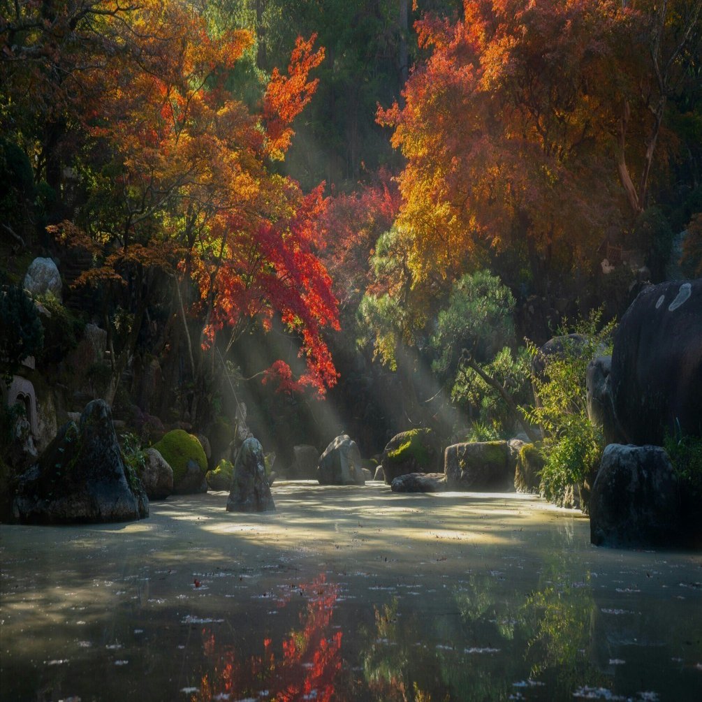 虚无主义又在「升华」｜小信紙