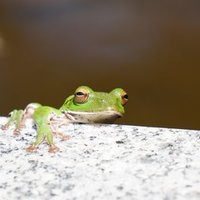 このまえ朝日や夕日に感動したのはいつだっただろう Dmm英会話日記 Mikimiki Note