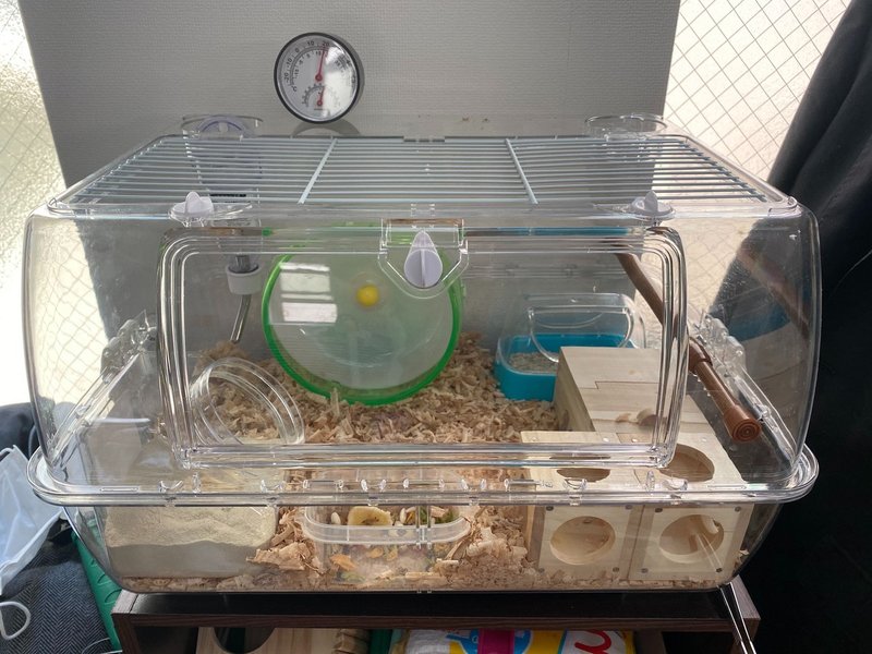 ハムスター飼育日記7日目 5 2 サトウショウヘイ Note ハムスター飼育日記7日目 5 2 サトウショウヘイ Note