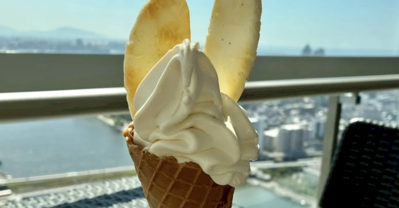 新潟市】朱鷺メッセ・Befcoばかうけ展望台で「ばかうけソフトクリーム
