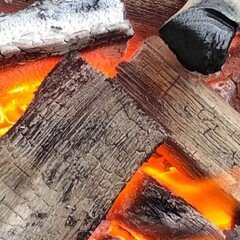 わたしの批評史①-はじめてのあずまんとはなんだったのか｜小林勝平