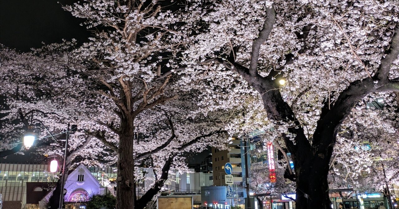 南に桜、北にドラゴン、ハンドサインと心あたたまる街｜ポヨポヨ幸せまぐろ🐟️のサムネイル画像