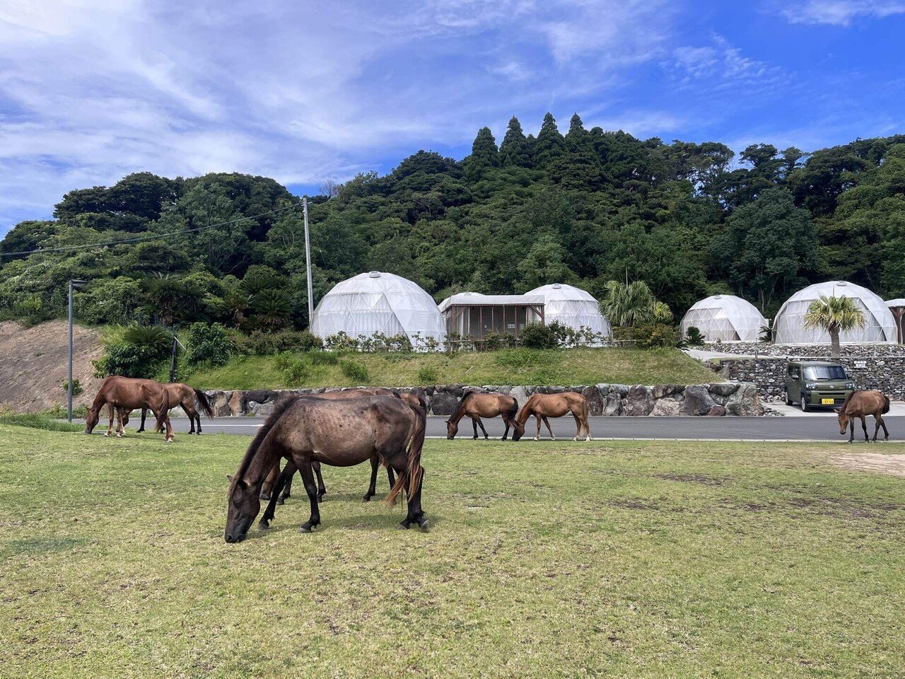 馬と自然に癒された｜宮崎・鹿児島旅①｜marimari