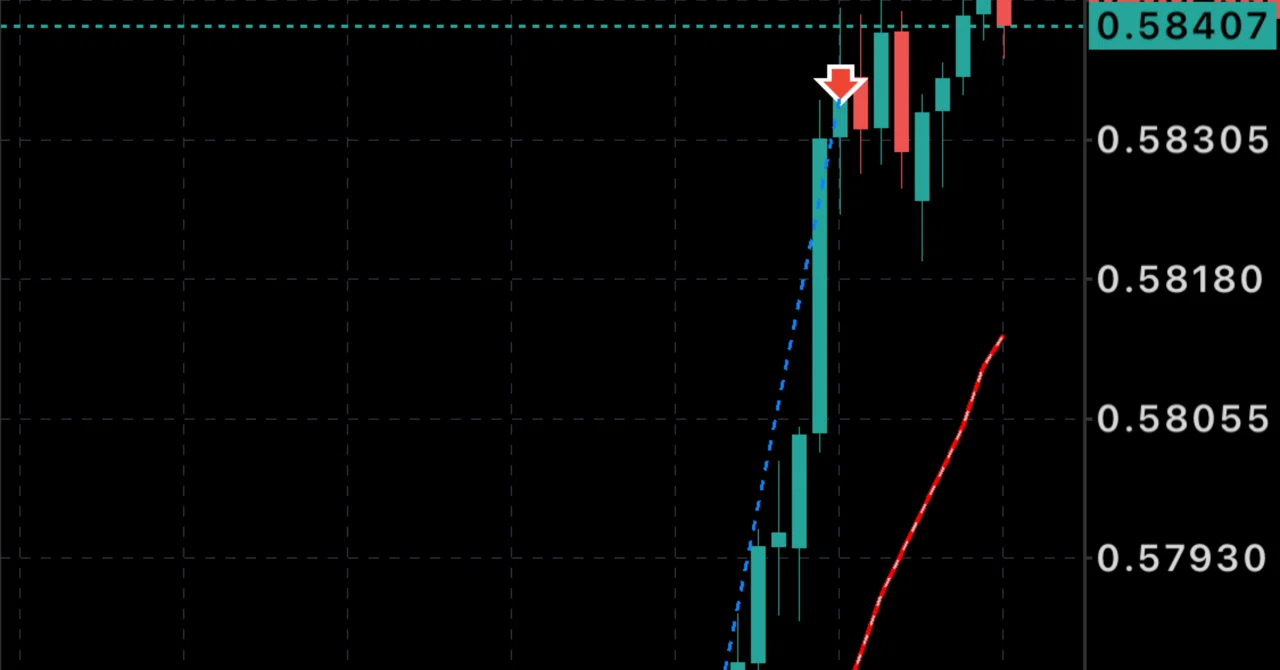 EURAUD,NZDUSD,EURNZD 損切り利確1/20｜トレード日記用