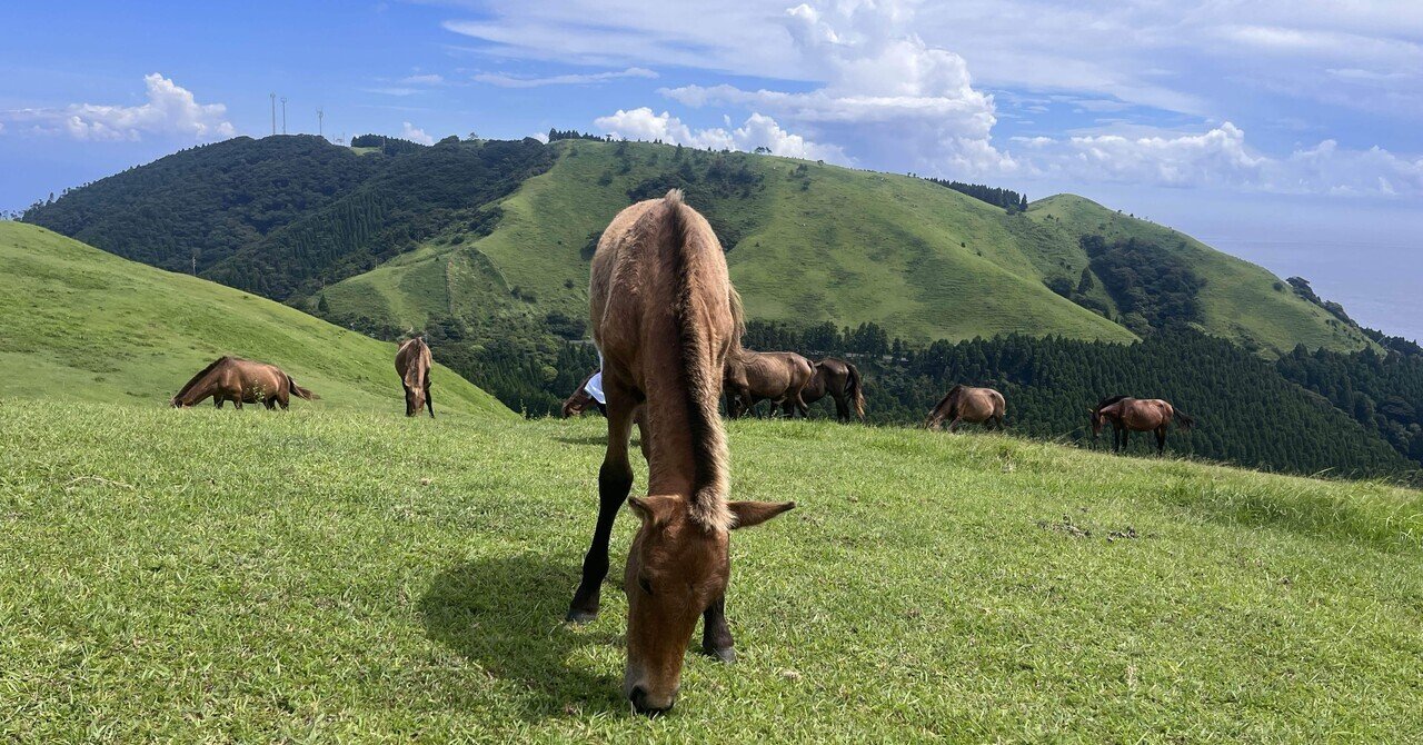 馬と自然に癒された｜宮崎・鹿児島旅①｜marimari
