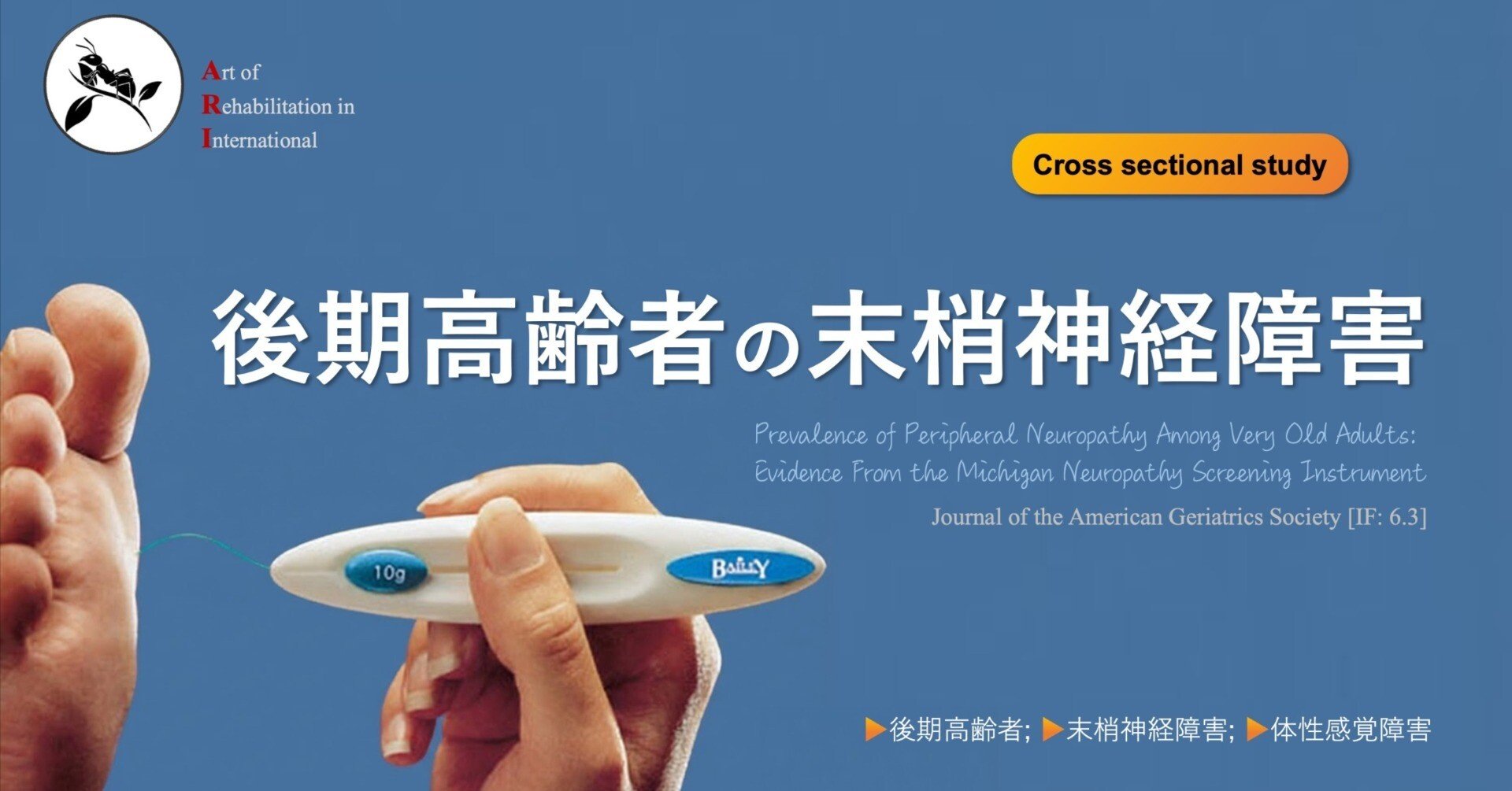 後期高齢者の末梢神経障害｜Super Human | 理学療法士／保健学博士 Ph.D.