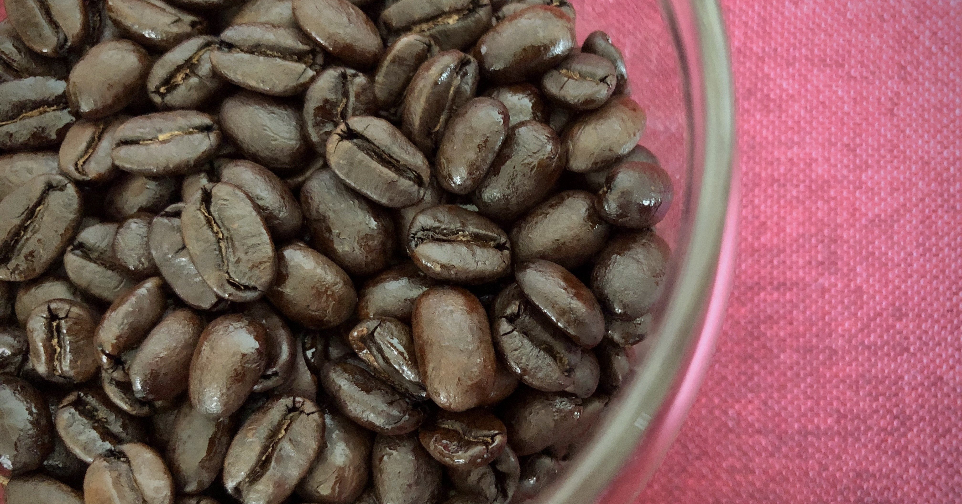 節約 30代一人暮らし会社員女子の赤字生活からの脱却方法 白椿 Note