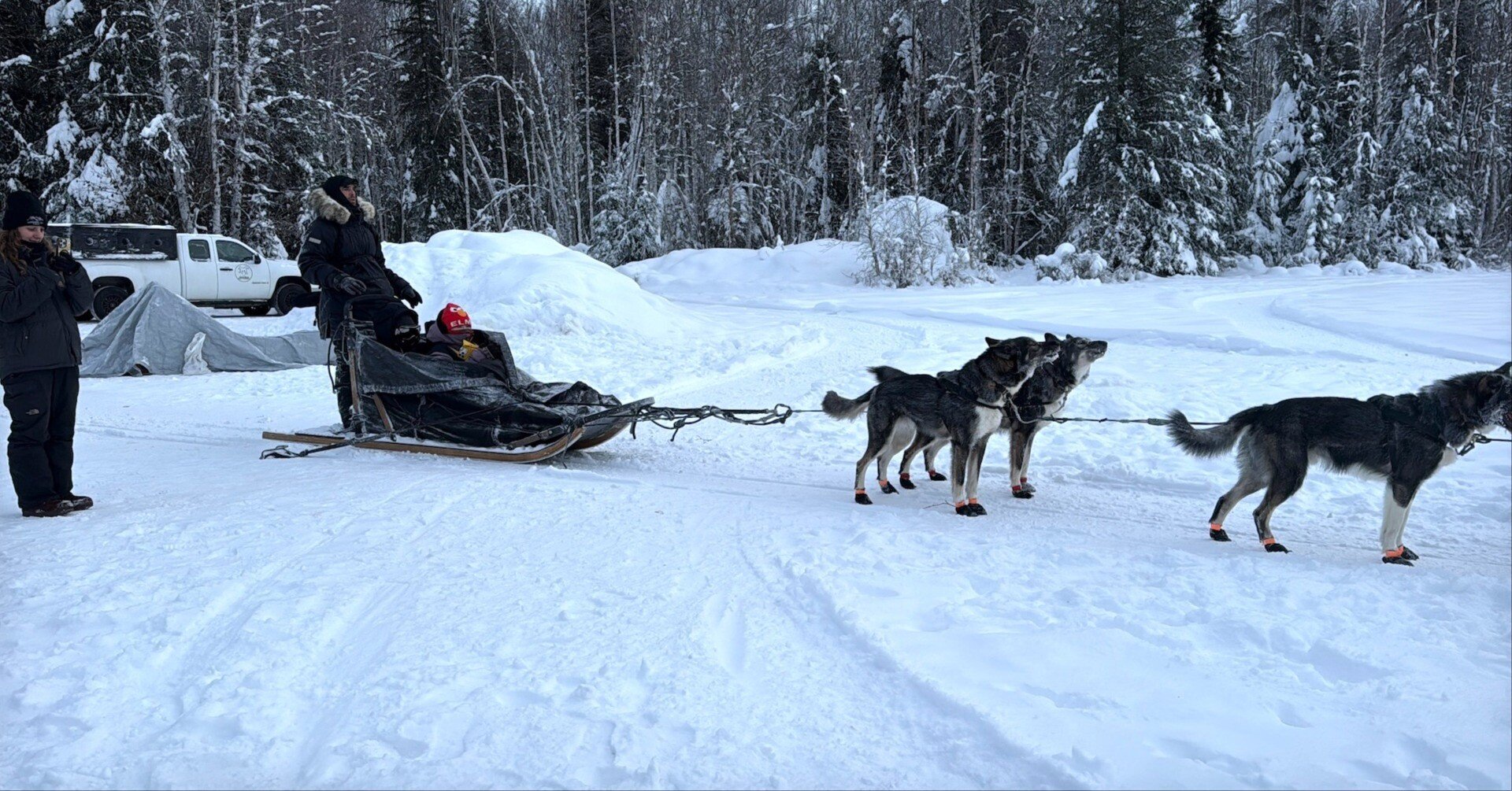 旅は最高の教育｜アラスカで犬ぞり体験。走るのが大好きな犬たちと雪原