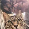 茶ーず（猫茶＆チョロ）と岡野雅一 MASAKAZU OKANO