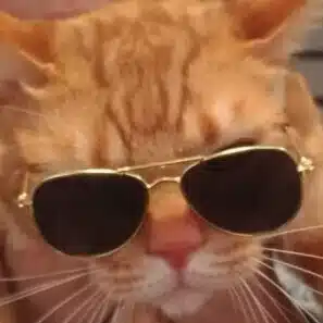 ねこめ