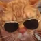 ねこめ