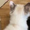 うみ