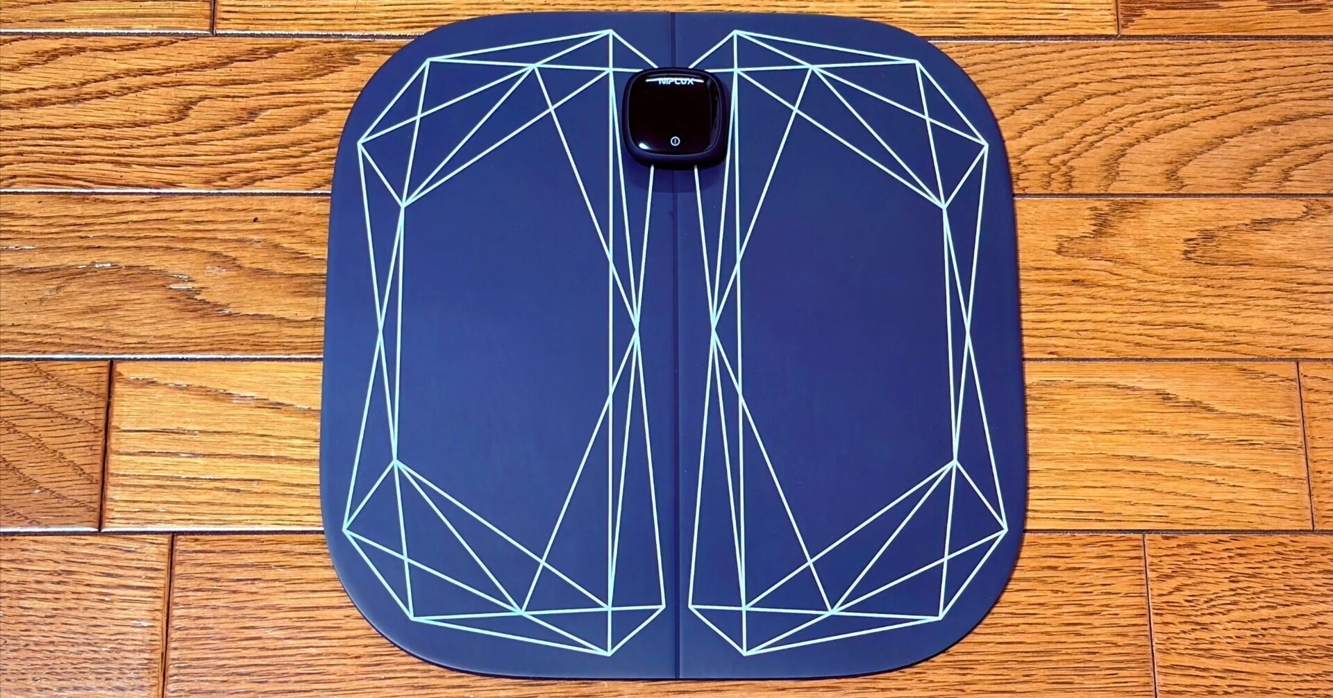 NIPLUX「LEG FIT」のご紹介記事を書かせていただきました！｜みく