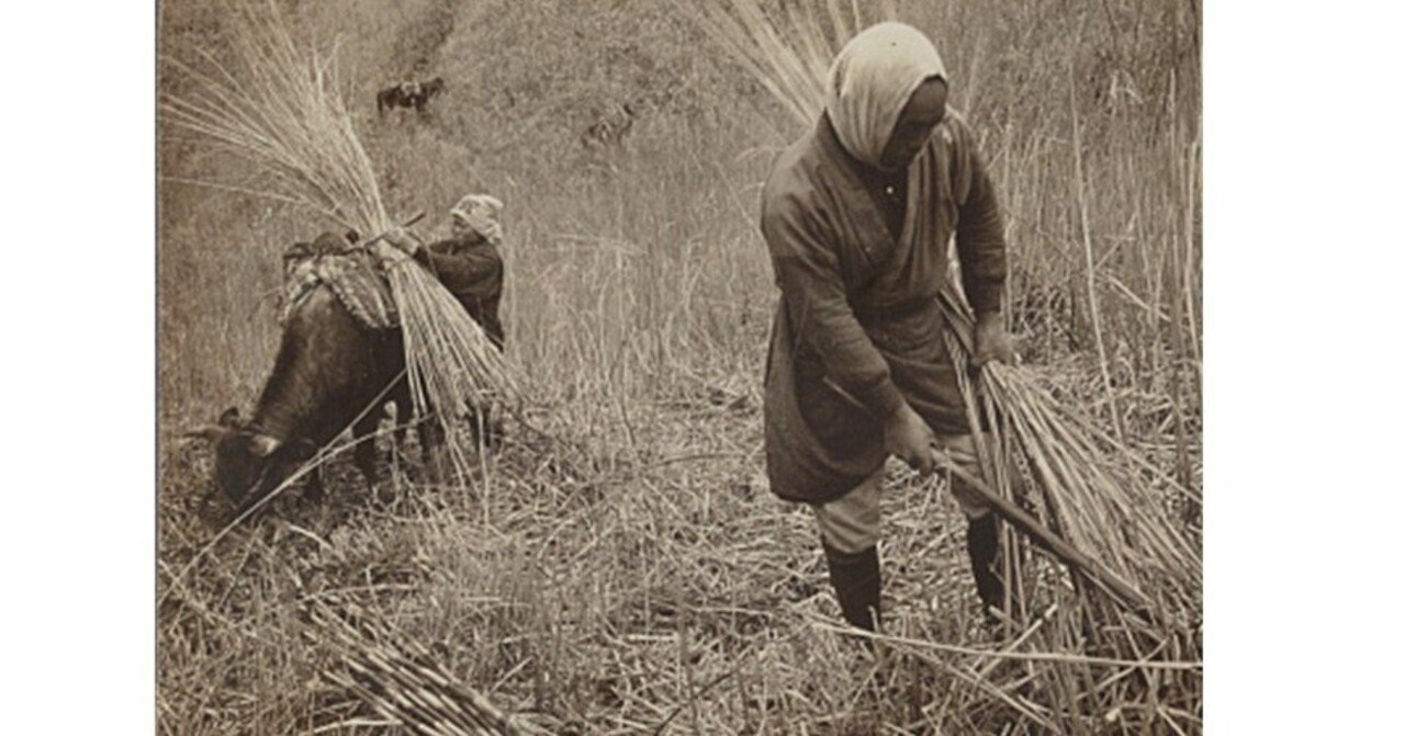 環境の尊さ③（江戸・明治時代の村人たちのサステイナブルな生活