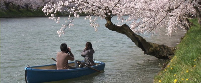 日本の桜シリーズ（１）（写真集）