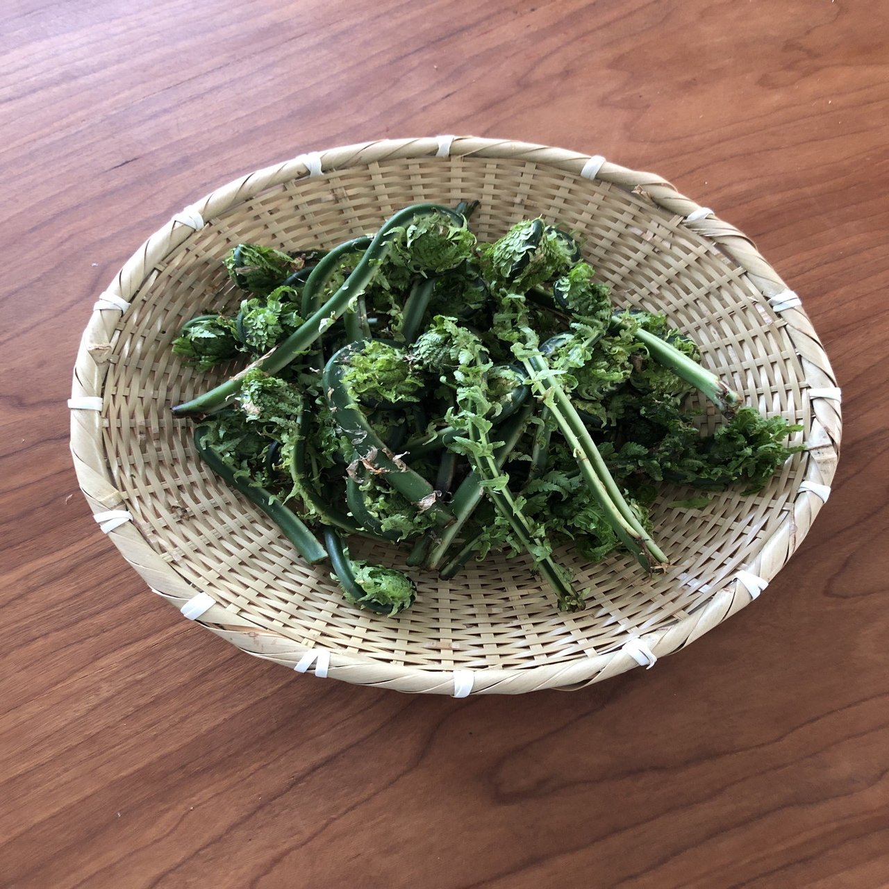 山菜辞典 梶山葉月 Hazu Kitchen Note