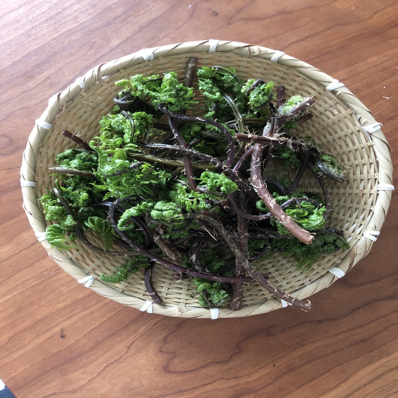 山菜辞典 梶山葉月 Hazu Kitchen Note