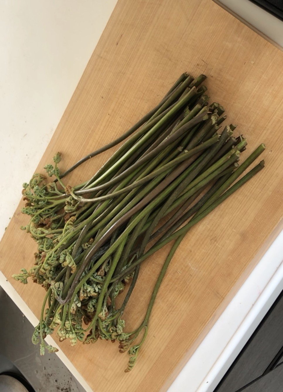 山菜辞典 梶山葉月 Hazu Kitchen Note 山菜辞典 梶山葉月 Hazu Kitchen Note