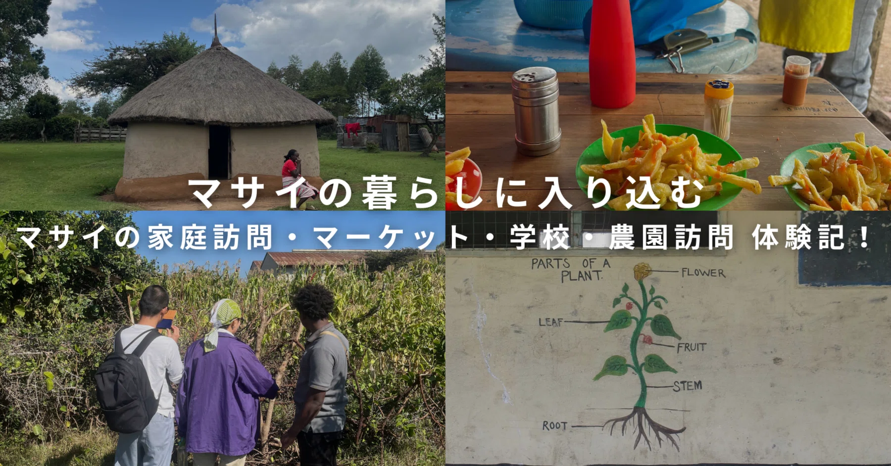 ケニア・マサイマラ】「マサイの暮らしに入る」アクティビティ｜家庭