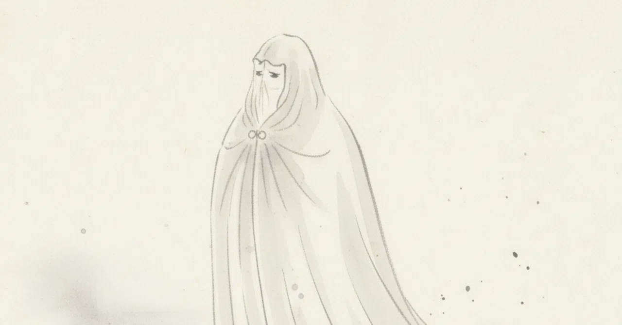 [Verification] The truth about the coveted 'Invisibility Cloak'—when ...