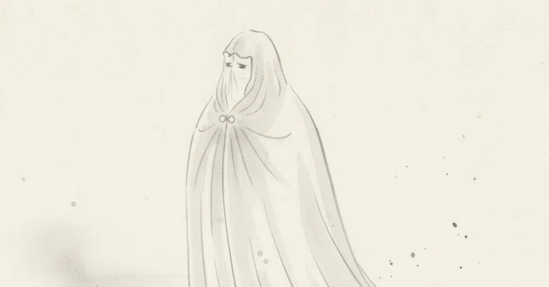 [Verification] The truth about the coveted 'Invisibility Cloak'—when ...
