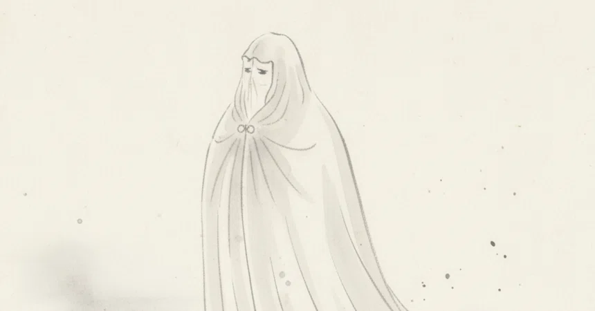 [Verification] The truth about the coveted 'Invisibility Cloak'—when ...