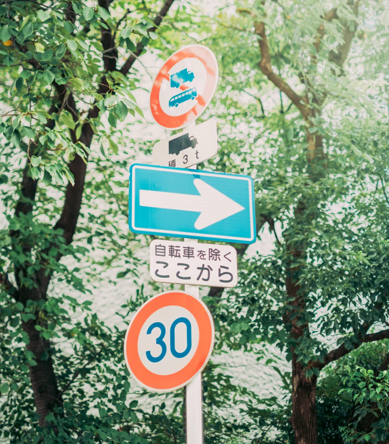 なぜ私は「写真の上達」より「カメラを続けること」を大事にしている