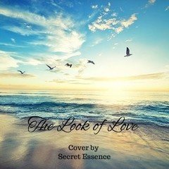 「The Look of Love」Cover by Secret Essence