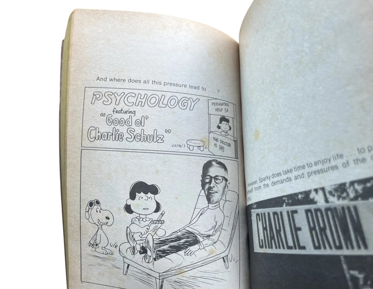 1969年、日本で初めてスヌーピーのコミックが発売された日（3）｜池ちゃん