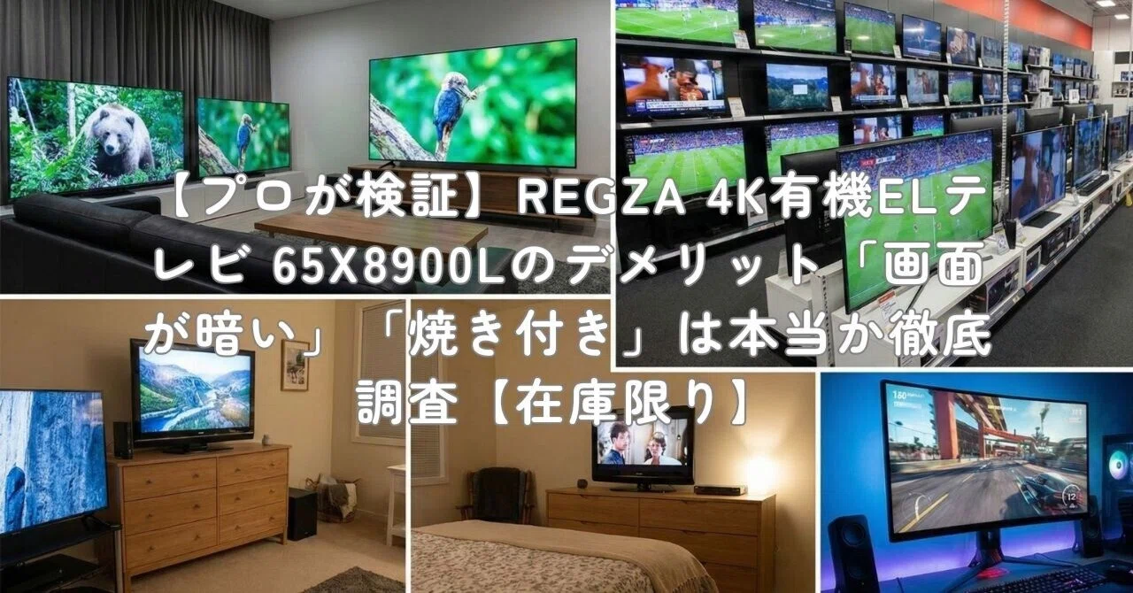 プロが検証】REGZA 4K有機ELテレビ 65X8900Lのデメリット「画面が暗い