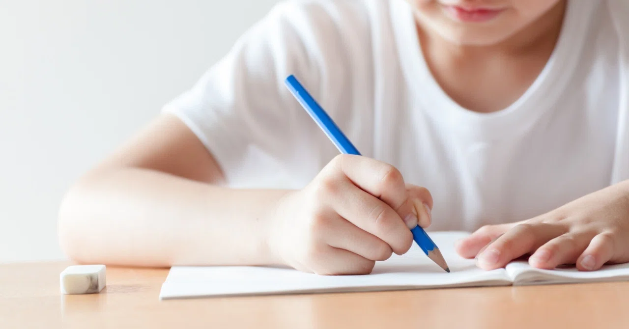 【中文】日本小学的作业一般会布置哪些?量有多少?|さくら|日本の小学校生活|面向中国家长