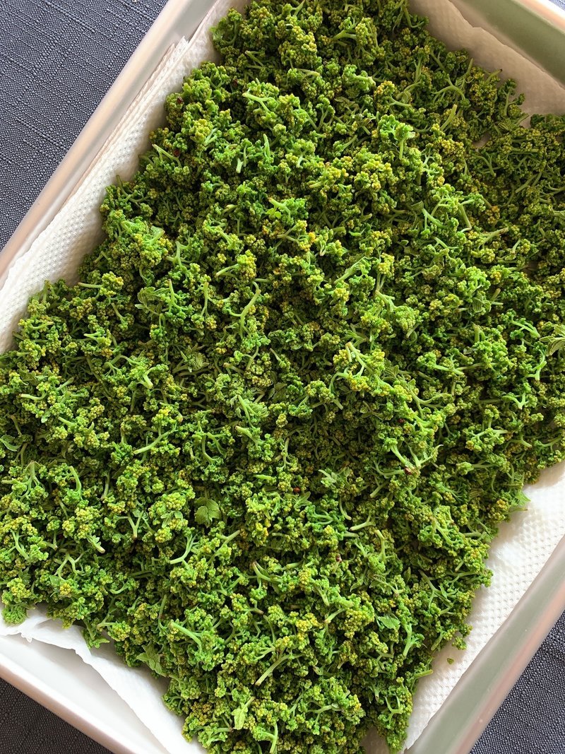 こころとからだに効くレシピ10 熟成肉のステーキ 花山椒添え 花山椒の下処理 藤田純子 Junko Fujita Note こころとからだに効くレシピ10 熟成肉のステーキ 花山椒添え 花山椒の下処理 藤田純子 Junko Fujita Note
