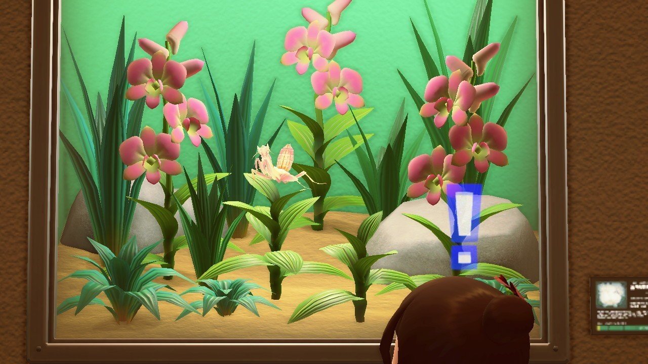 あつ森から学ぶ生物の話 ハナカマキリ について調べたら 花に擬態するだけで終わらなかった ヤバイ 緑木リョク Note あつ森から学ぶ生物の話 ハナカマキリ について調べたら 花に擬態するだけで終わらなかった ヤバイ 緑木リョク Note