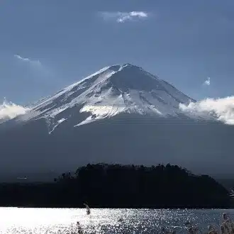 漆