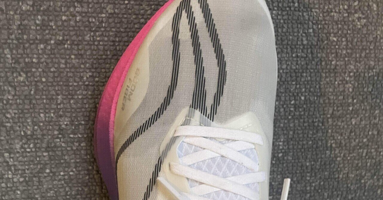 ジョグシューズとしてリーニンRED HARE 8 Proを使ってみての感想