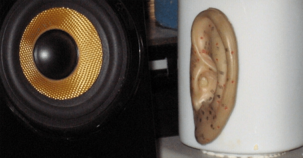 素人オーディオファンがスーパーツィーターを導入した話｜Free as the wind