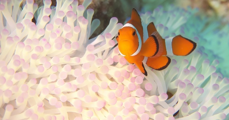 湯神くんには友達がいない を語りたい アデナウア Note