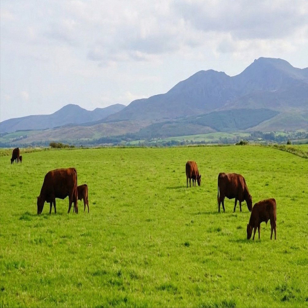 WagyuCoin(和牛コイン) コインの収益はどこへ行くのか ———— 「仮想空間の牧場」から、国内唯一の畜産大学へ。Web3で叶える恩返し。｜和牛 コイン運営＠とかちゃん