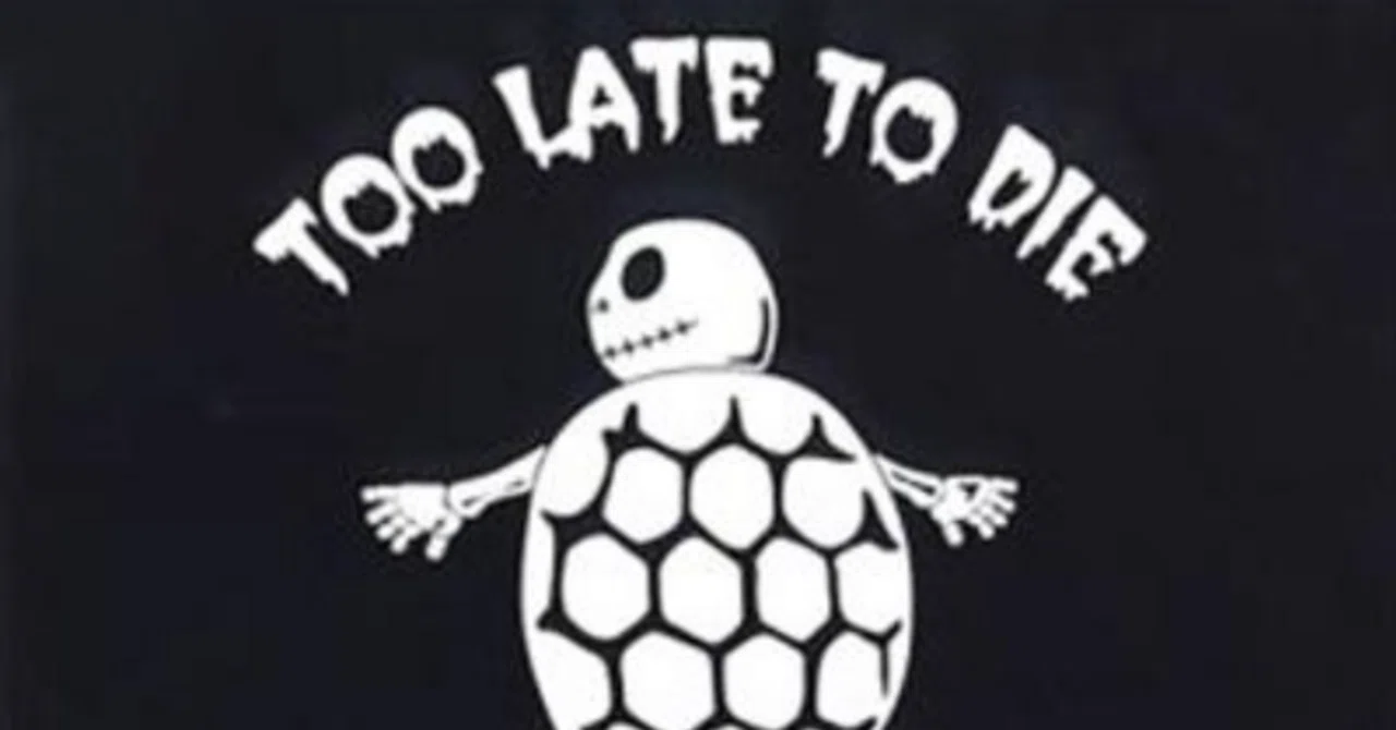 Too Late To Die｜なかたか
