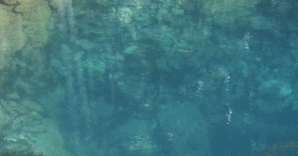 秋吉台周辺の湧水 Hqm06627 Note