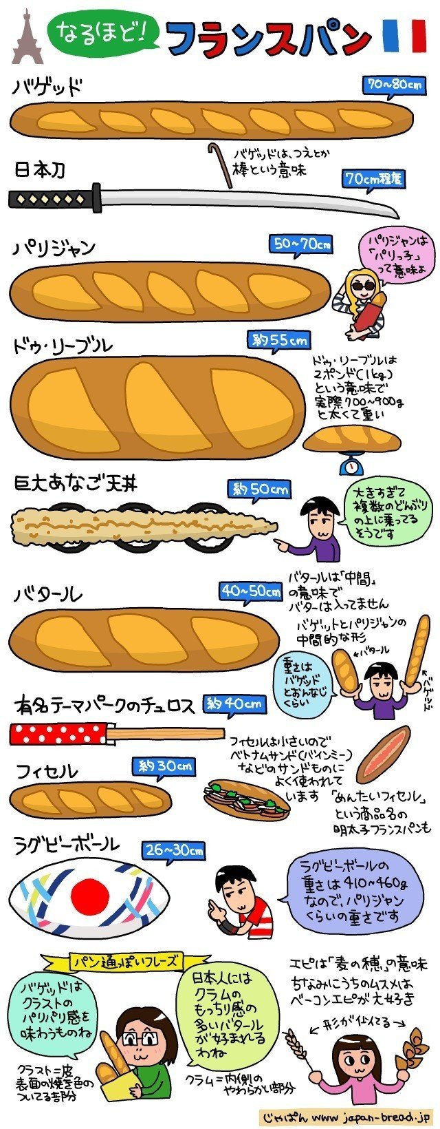 イラストで解説 なるほど フランスパン 芦之由 Note イラストで解説 なるほど フランスパン 芦之由 Note