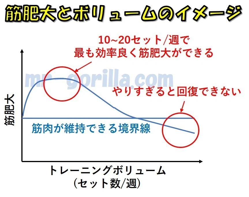 科学的に正しい筋トレ方法の全て｜CR7