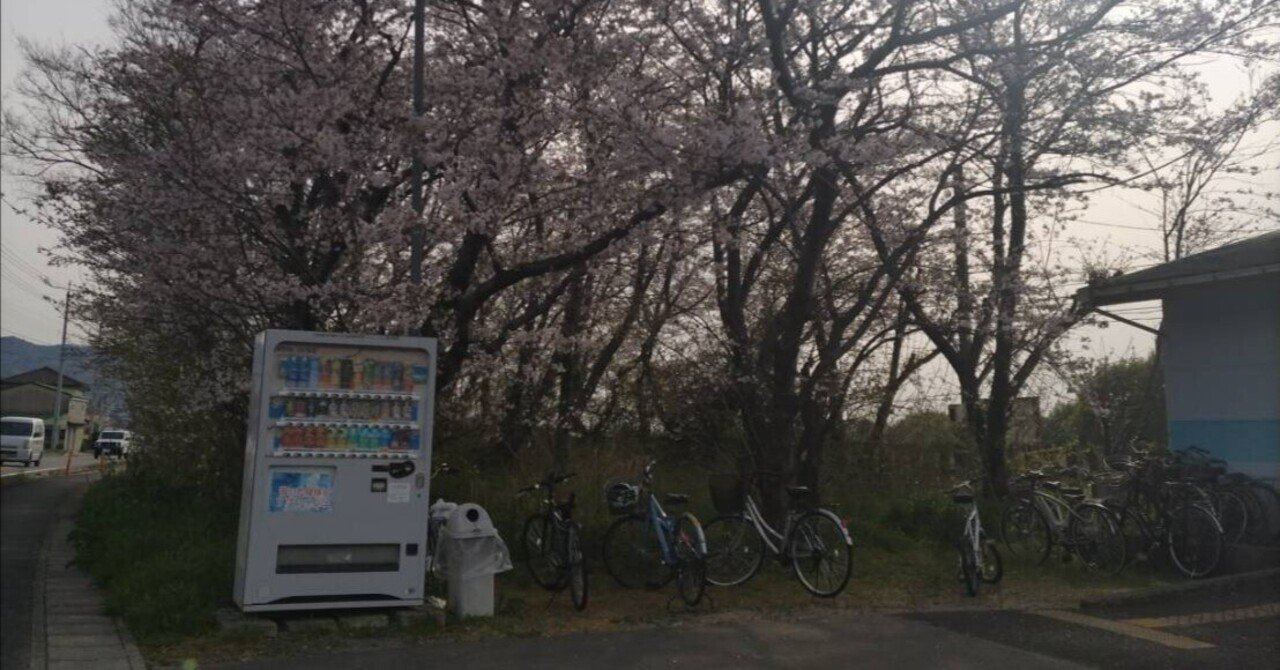 1年半阿波川端駅から仕事に通ってマブになった話🫂🫶🏻👀｜スネかじり貪[すねかじりむさぼ]のサムネイル画像