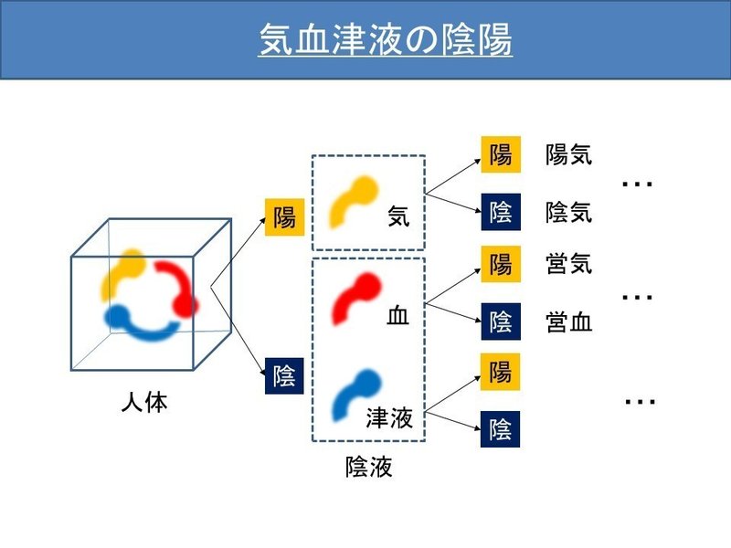 気血津液イメージ