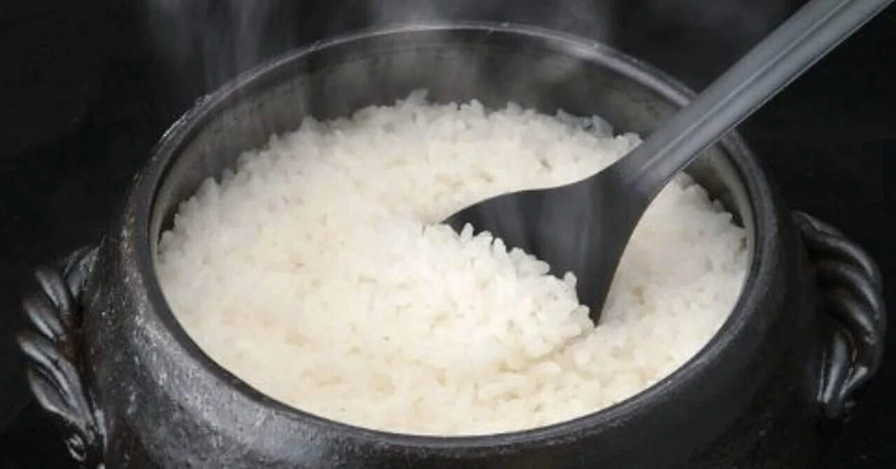 米が甘い ってこういうこと 三鈴陶器ごはん鍋3合炊きを使ってみた けー