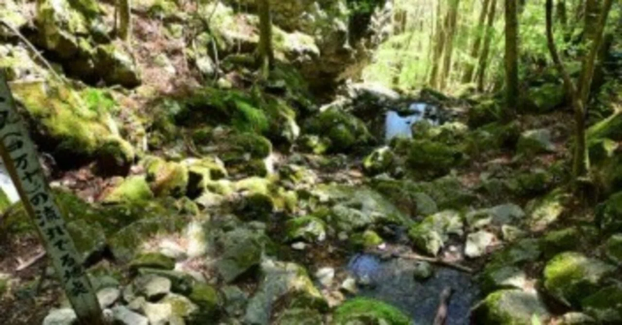 [Mountain Travel Diary] To the Unexplored Regions of Shikoku Part 3: In ...