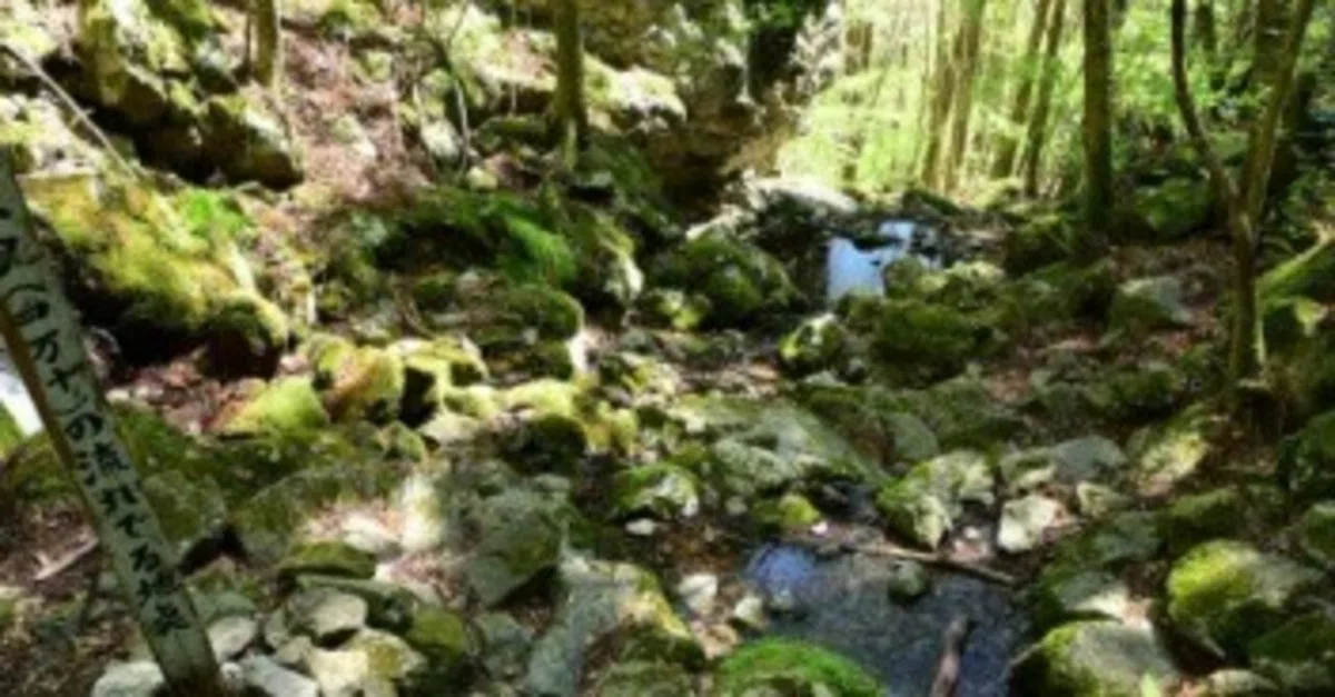 [Mountain Travel Diary] To the Unexplored Regions of Shikoku Part 3: In ...