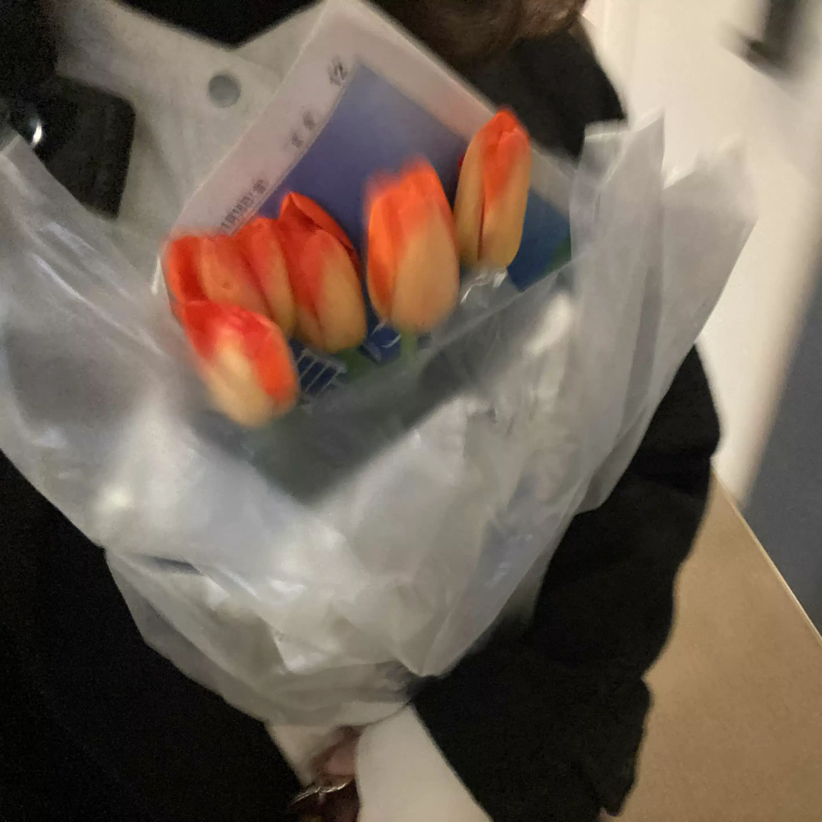 なつのめ