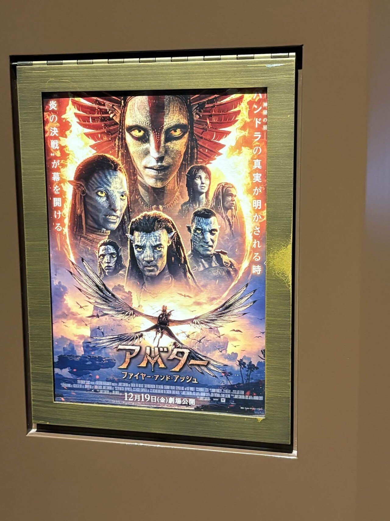 アカデミー作品賞を受賞した11本の映画を含んだコレクション　英語 アカデミー賞大本命に踊り出た『グリーンブック』、3月1日公開決定