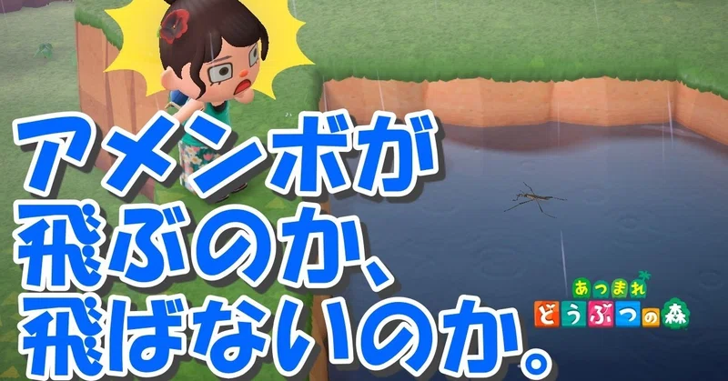あつ森から学ぶ生物の話 アメンボの匂いは自己防衛 フェロモン どっちにしても飴の匂いがしない らしい 緑木リョク Note
